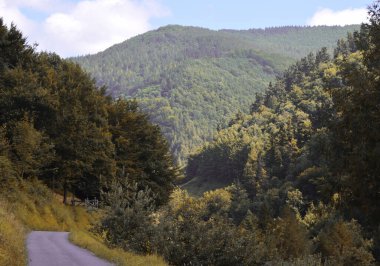 Ekim sonbaharında dağlık arazi.