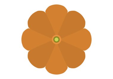 Sonbaharda yukarıdan görünen balkabağı.