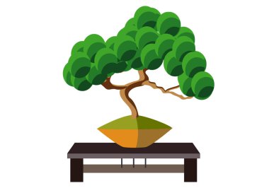 Yeşil yapraklı bonsai. Düz renklerde. Tabakta, masada..