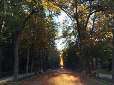 Paseo de la Isla, Burgos, İspanya şafak vakti