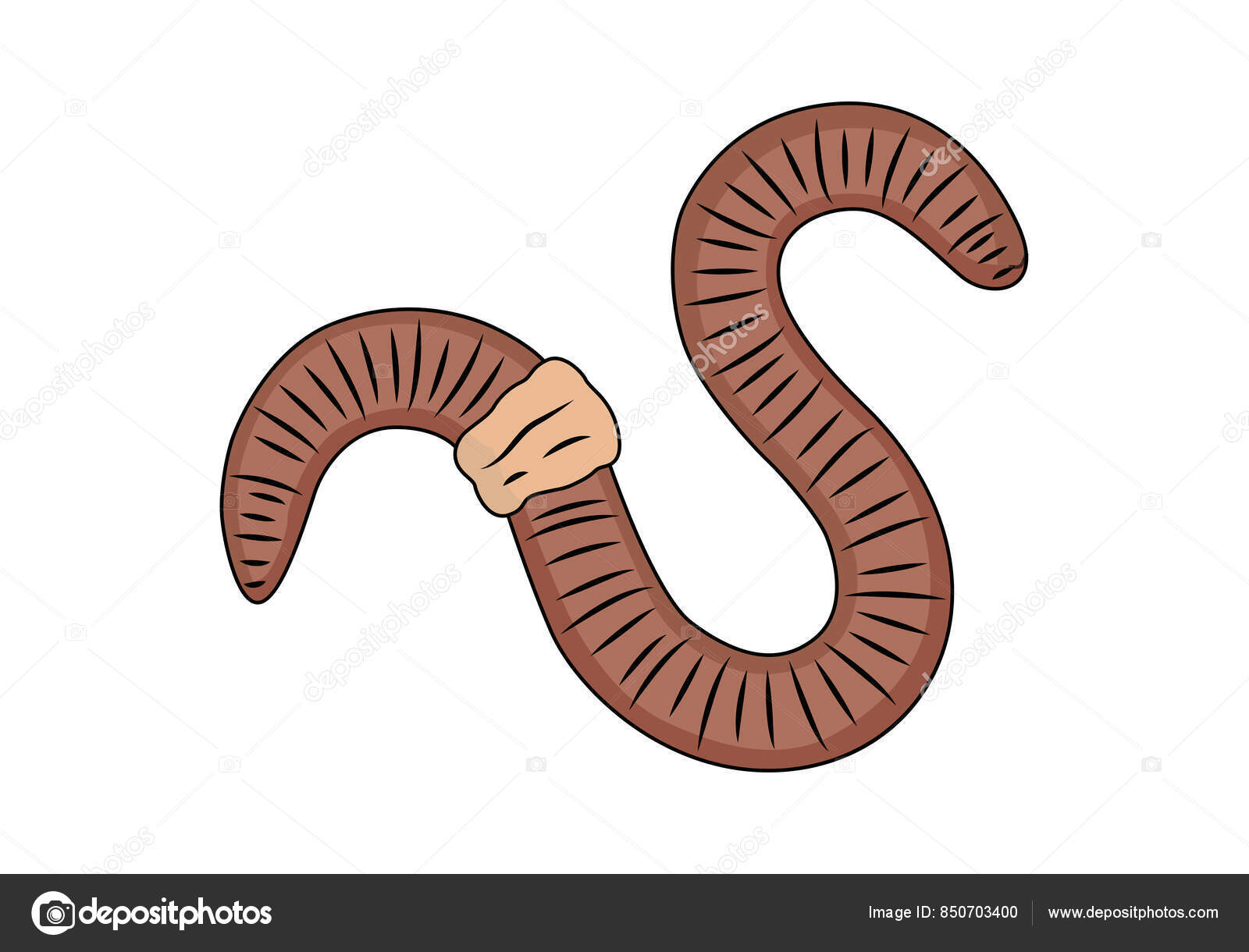 PPT - INVERTEBRADOS (IV) PowerPoint Presentation, free download - ID:2052874, image size:1600x1220