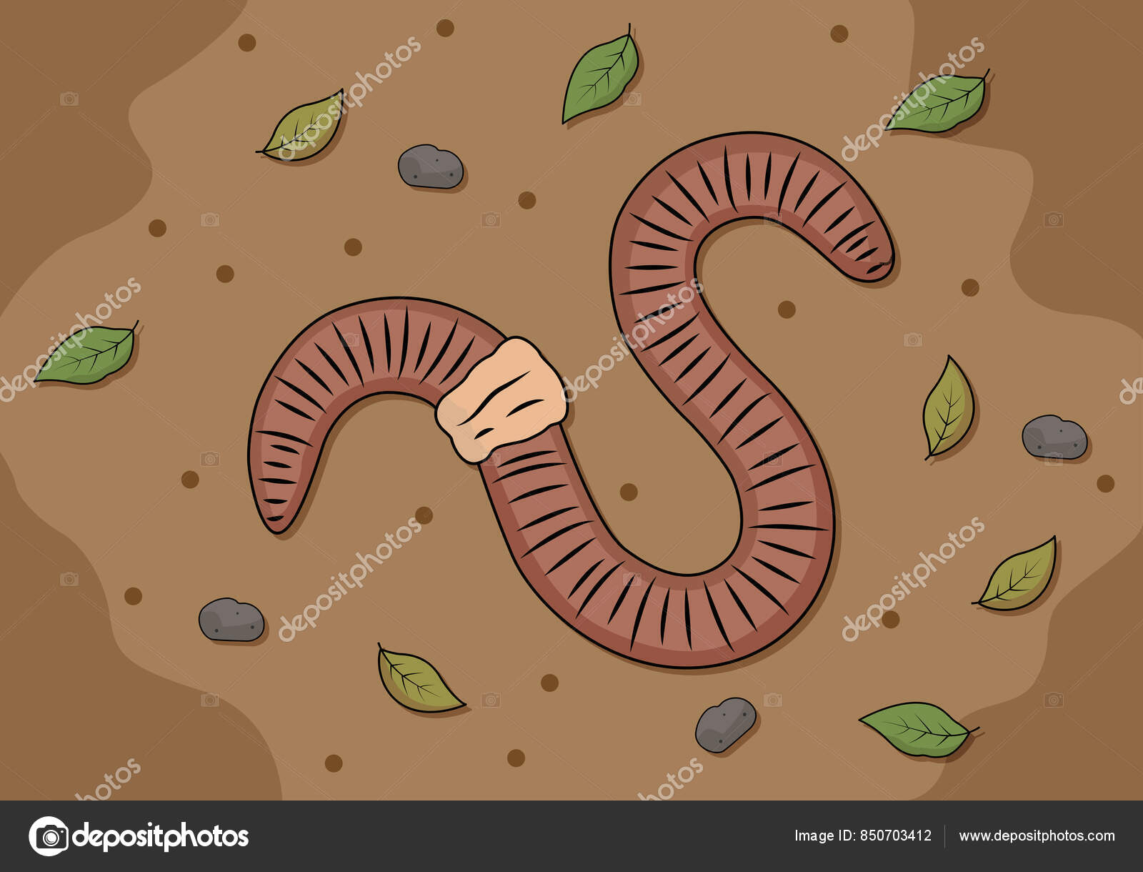 Lombrices | PDF | Suelo | Biología, image size:1600x1220