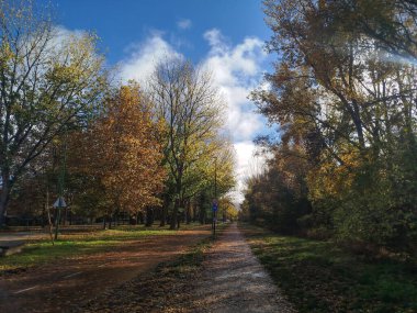 Dirt road between trees with autumn-colored foliage under a blue sky with clouds
