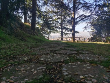 Ormandaki ağaç tepe örtülerinin altındaki taş patika ya da İspanya 'nın Burgos şehrinde günbatımında park