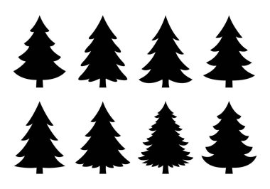 Siyah çam ağaçlarının siluetleri