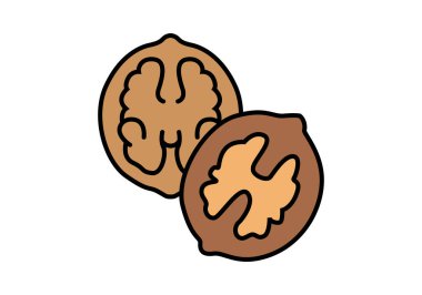 Bir çift açık ceviz beyaz arka planda içindeki meyveyi gösteriyor.