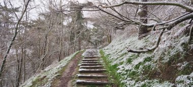 Burgos, İspanya 'da kışın karlı bir orman yolunda tahta merdivenler.