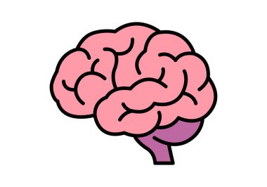 Human brain with pink hemispheres and purple cerebellum on a white background