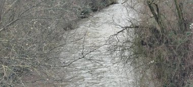 Kuru dallar ve kışın nehir bitkileri arasında akan akıntının havadan görünüşü