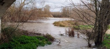 İspanya 'nın Burgos şehrinde bulutlu bir günde yeşil bitki örtüsü ve ağaç dalları olan bir nehir akıntısına yakın çekim