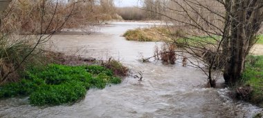 İspanya 'nın Burgos şehrinde bulutlu bir günde yeşil bitki örtüsü ve ağaç dalları olan bir nehir akıntısına yakın çekim