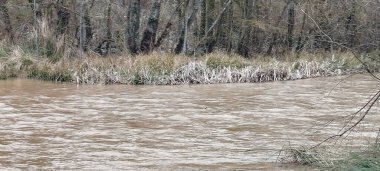 İspanya, Burgos 'ta kışın hızlı akan beyaz su ve nehir bitkisi