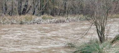 İspanya 'nın Burgos şehrinde bulutlu bir gökyüzünün altında yoğun kış ağaçlarıyla çevrili kudretli bir nehir.