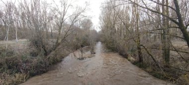 İspanya 'nın Burgos şehrinde bulutlu bir gökyüzünün altında yoğun kış ağaçlarıyla çevrili kudretli bir nehir.