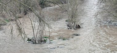 İspanya 'nın Burgos şehrinde bulutlu bir gökyüzünün altında yoğun kış ağaçlarıyla çevrili kudretli bir nehir.