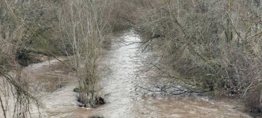 İspanya 'nın Burgos şehrinde bulutlu bir gökyüzünün altında yoğun kış ağaçlarıyla çevrili kudretli bir nehir.