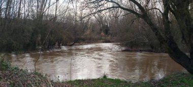 Burgos, İspanya 'da kıyılarında güçlü bir akıntı ve yoğun bitki örtüsü bulunan hızlı akan bir nehir.