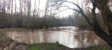Burgos, İspanya 'da kıyılarında güçlü bir akıntı ve yoğun bitki örtüsü bulunan hızlı akan bir nehir.