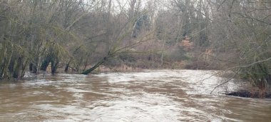Burgos, İspanya 'da kıyılarında güçlü bir akıntı ve yoğun bitki örtüsü bulunan hızlı akan bir nehir.