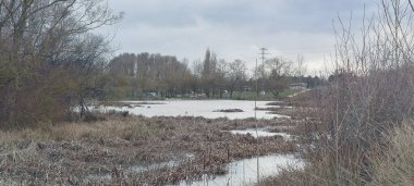 Arka planda bulutlu bir gökyüzü ve İspanya 'nın Burgos şehrinde hızla akan bir nehrin altında vahşi bitki örtüsü ve ağaçlarla doğal sulak arazi.