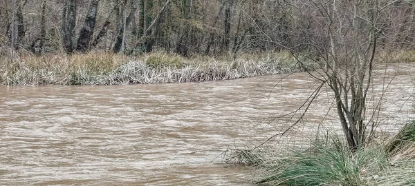 İspanya 'nın Burgos şehrinde bulutlu bir gökyüzünün altında yoğun kış ağaçlarıyla çevrili kudretli bir nehir.