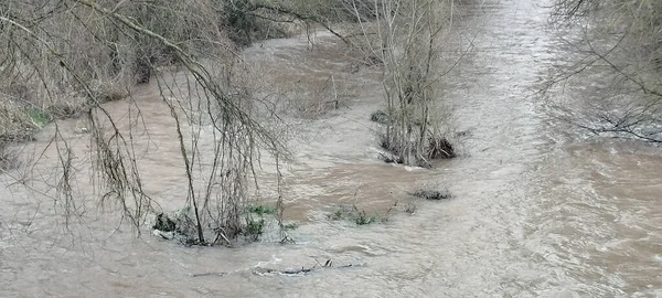 İspanya 'nın Burgos şehrinde bulutlu bir gökyüzünün altında yoğun kış ağaçlarıyla çevrili kudretli bir nehir.