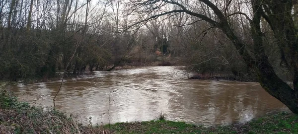 Burgos, İspanya 'da kıyılarında güçlü bir akıntı ve yoğun bitki örtüsü bulunan hızlı akan bir nehir.