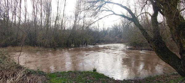 Burgos, İspanya 'da kıyılarında güçlü bir akıntı ve yoğun bitki örtüsü bulunan hızlı akan bir nehir.