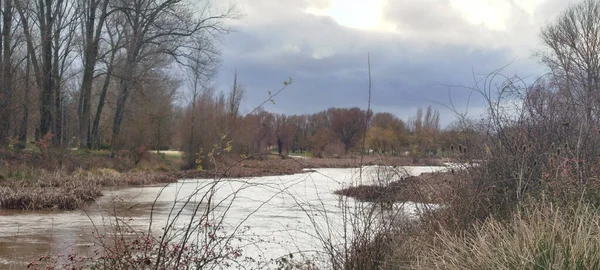 Burgos, İspanya 'da kurşuni bir gökyüzünün altında yoğun bitki örtüsü ve ağaçlarla çevrili hızlı akan, dolambaçlı bir nehir