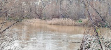 Logroo şehrinde, İspanya 'da kurumuş dallarla çerçevelenmiş, bulanık sulara sahip bir nehrin manzarası.