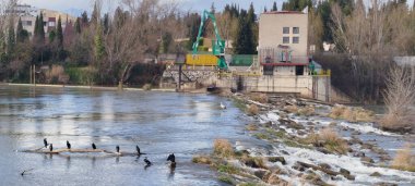 Logroo, İspanya 'da bulutlu bir gökyüzünün altındaki eski bir binanın önündeki taştan bir baraj ve küçük şelaleli nehir manzarası.