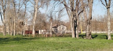 İspanya, Burgos 'ta bir kır evinin yanında yapraksız ağaçlar ve yeşil otlarla dolu sessiz bir park manzarası.