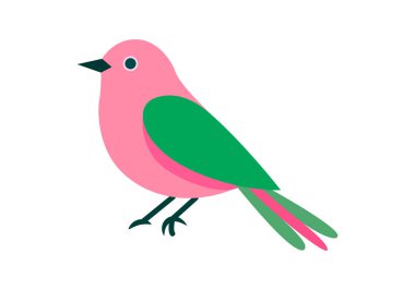 Pembe ve yeşil renkli küçük bir kuş.