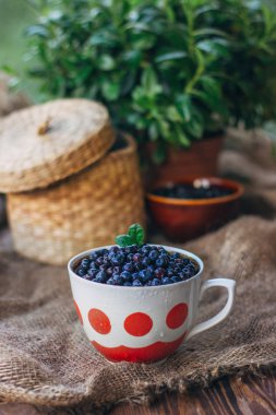 Vintage kupa öndeki sulu yaban mersini natürmort görüntüleyin. Rustik arka plan ile sepet ve çiçekler.