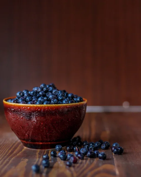 Freshly picked blueberries in water drops macro close up. — Stock Photo, Image