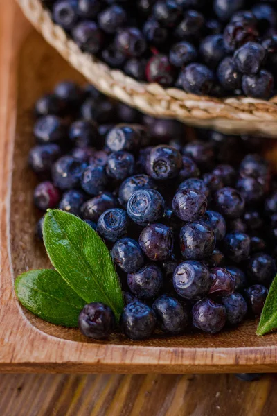 落叶在木碗和篮子新鲜采摘的蓝莓。潮湿和有光泽. 免版税图库照片