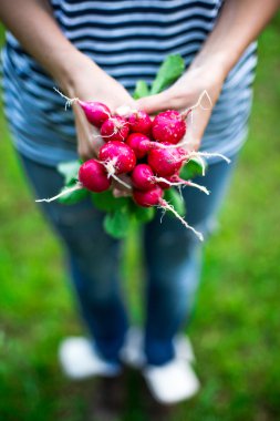 Elinde taze meyvelerle sepeti tutan kadın.