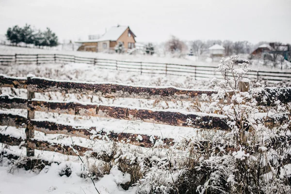 Winterlandschap Met Besneeuwde Bomen — Stockfoto