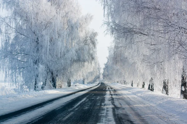 Camino Invierno Bosque — Foto de Stock