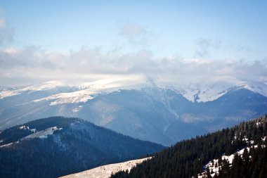 Çayır Sheshul Chornohora