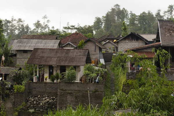 A Cluster of Homes in a Balineasian Village — Stock Photo, Image