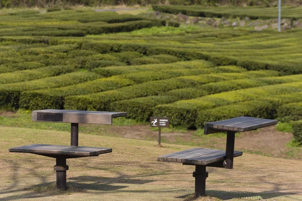 Picknicktafels in de tuin — Stockfoto