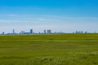 Marsh ötesinde manzarası