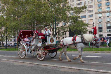 New York'ta bir Horese ve taşıma binmek