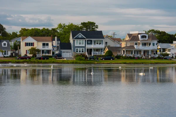 Jersey Shore mahalle 