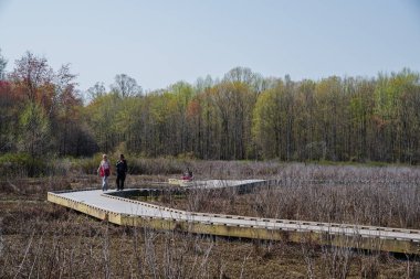 Alexandria, Virginia, ABD -- 8 Nisan 2021. Alexandria Virg 'deki Huntley Meadows parkında tahta kaldırımda yürüyen iki kadının fotoğrafı.