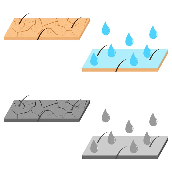 Hidratação da pele vista seccional . —  Vetores de Stock