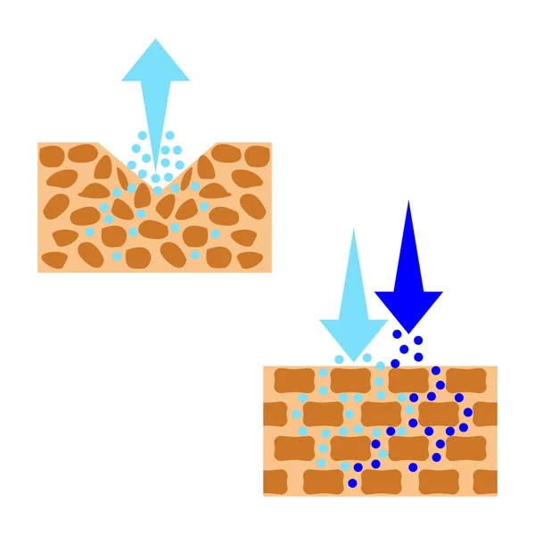 Skin hydration sectional view. — Stock Vector