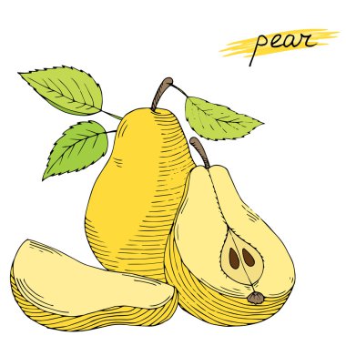 Beyaz arka plan üzerinde izole yaprakları ile el çekilmiş armut.