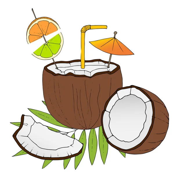 Hand drawn cocktail in coconut on white background. — Stock Vector